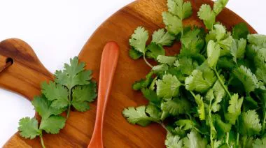 garnishing-instructions-image